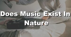 does music exist in nature